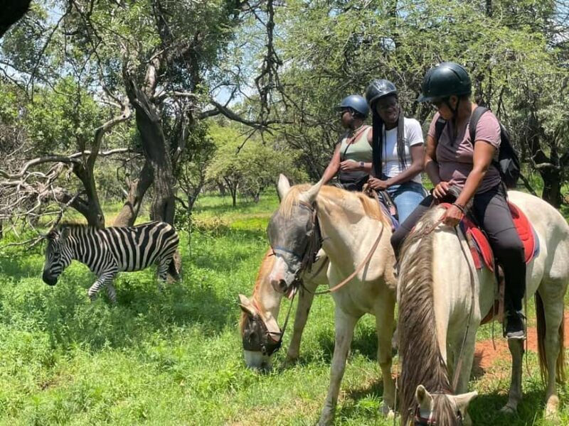 JOHANNESBURG: Horse Riding & Quad Biking Adventure - Authenticity and Value for Travelers