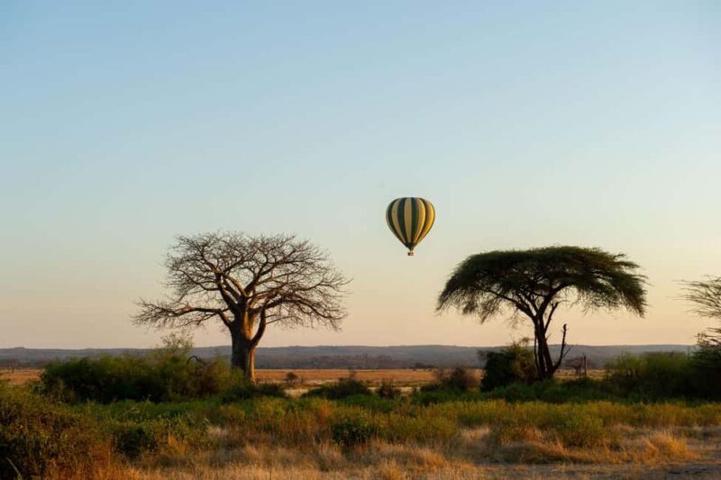 Johannesburg: Hot Air Balloon Flight - An Overview of the Experience
