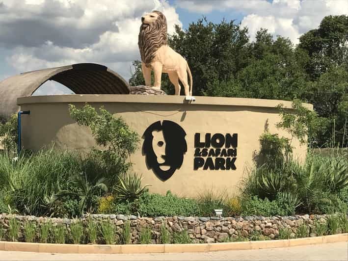 Johannesburg Lion & Safari Park TRANSFER & ENTRANCE INCLUDED - A Closer Look at the Lion & Safari Park Experience