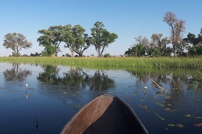Johannesburg or Gaborone to Maun: 5 Day Rhinos, Diamonds & Okavango Delta Tour - Key Points