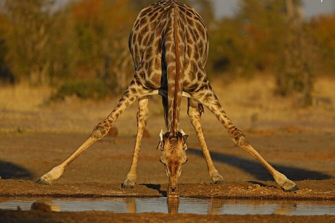 Johannesburg or Gaborone to Victoria Falls 10 Day ACROSS BOTSWANA SmallGroupTour - Exploring the Full Itinerary