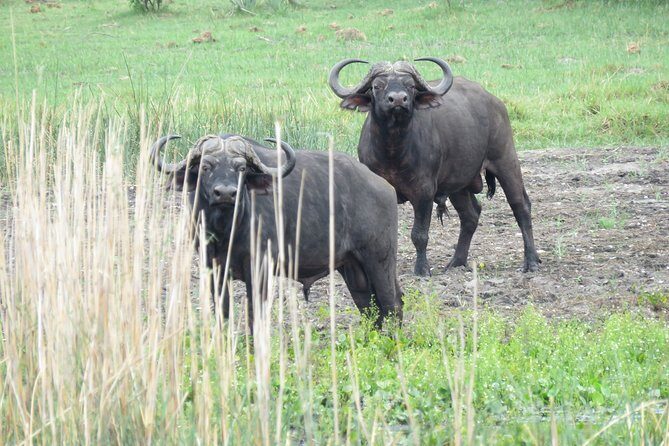 Johannesburg or Gaborone to Victoria Falls 10 Day ACROSS BOTSWANA SmallGroupTour - FAQ