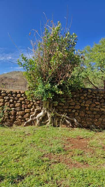 Johannesburg: Pilanesberg Nature Reserve Overnight Safari - Authentic Experiences and Reviews