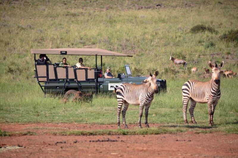 Johannesburg: Rhino and Lion Nature Reserve Safari - Final Thoughts