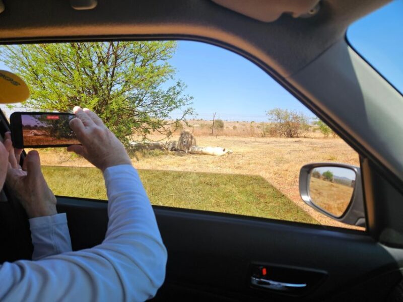 Johannesburg: Rhino and Lion Park Safari and Maropeng Museum - Who Will Love This Tour