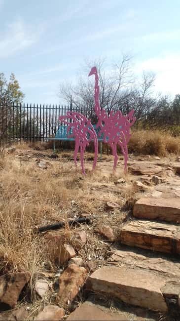 Johannesburg: The Wilds Nature Reserve Hike - Exploring The Wilds Nature Reserve: A Detailed Look