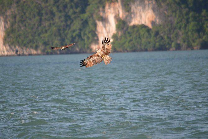 John Gray's Adventure Hong by Starlight in Phang Nga Bay - Who Should Consider This Tour?
