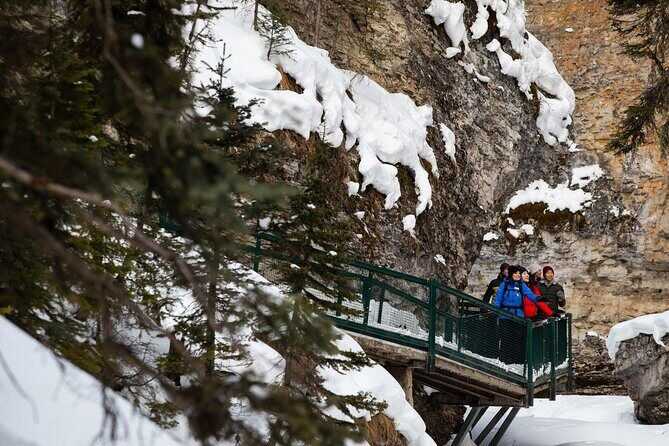Johnston Canyon, Banff Historical Site, Gondola all inclusive - Who Should Consider This Tour?