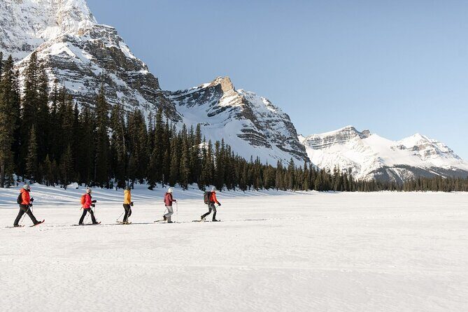 Johnston Canyon, Banff Historical Site, Gondola all inclusive - The Sum Up