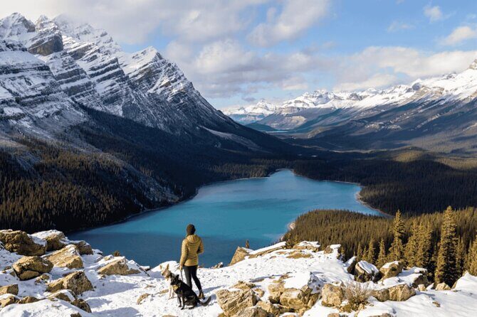 Johnston & Marble Canyon Explorer, Banff's Nature Day Tour - Key Points
