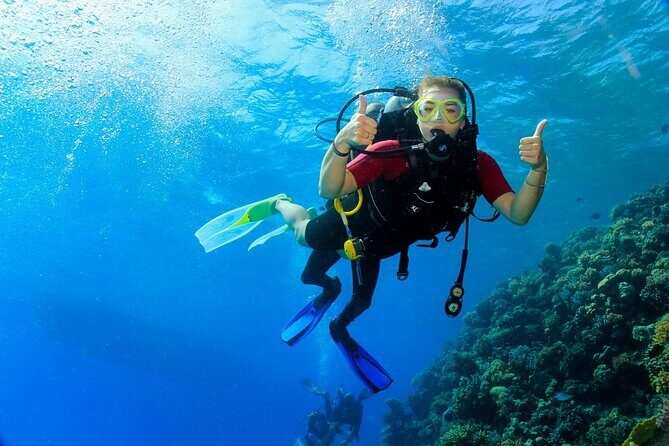 Join our Daily Diving Trip with 2 dives Transfer & Lunch-Hurghada - Pricing and Value