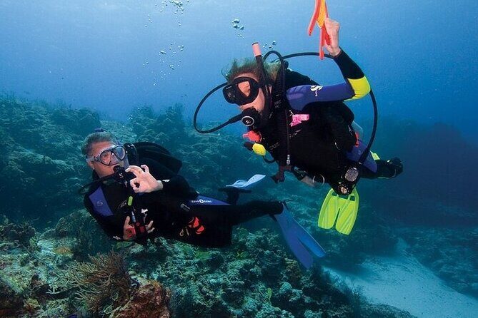 Join our Daily Diving Trip with 2 dives Transfer & Lunch-Hurghada - What Travelers Say