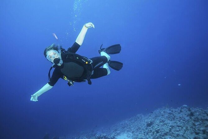 Join our Daily Diving Trip with 2 dives Transfer & Lunch-Hurghada - Who Is This Tour Best For?