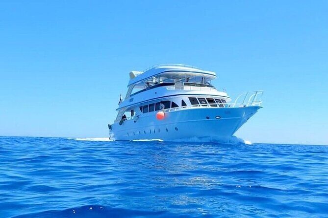 Join our Daily Diving Trip with 2 dives Transfer & Lunch-Hurghada - The Sum Up