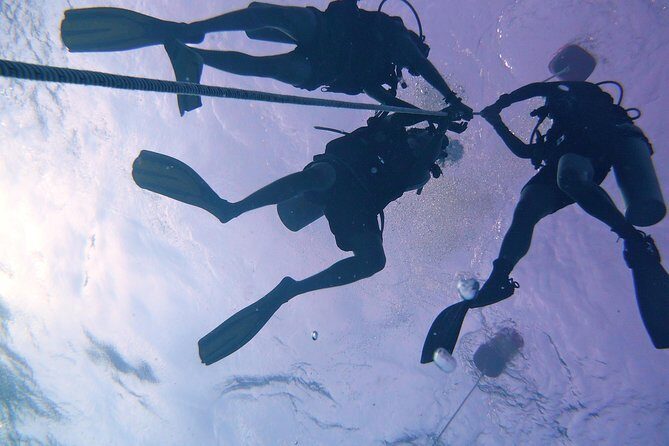 Join us for a RAID Try Dive in Kota Kinabalu - Authentic Experiences and Traveler Feedback