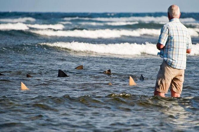 join us in this excursion of Sal island - Ninth Stop: Kite Beach