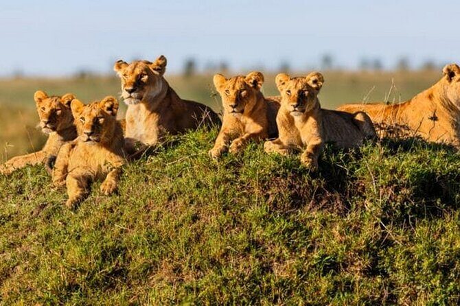 Joining Safari from Mwanza - The Practical Details: What Matters to You