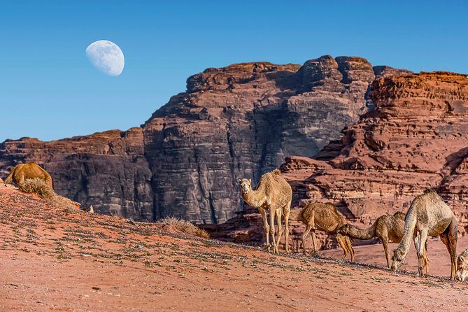 Jordan Pass 3 Nights Golden Triangle Tour from Amman Hotel - Key Points