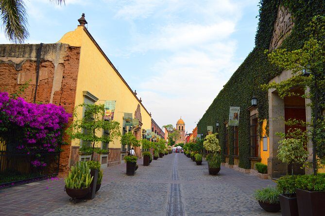 José Cuervo Tequila Day Experience from Guadalajara - An In-Depth Look at the Tour Itinerary