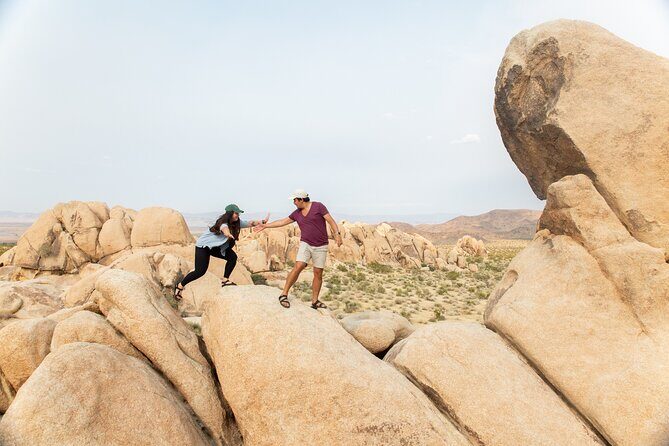 Joshua Tree Full Day Private Tour and Hike - An in-depth look at the Joshua Tree Full Day Private Tour and Hike