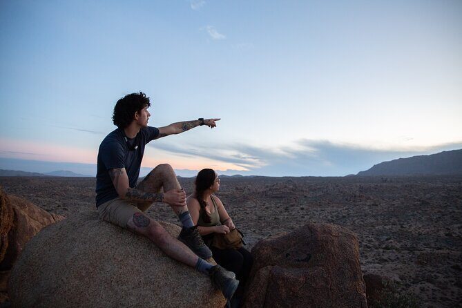 Joshua Tree Full Day Private Tour and Hike - Who Is This Tour Best For?