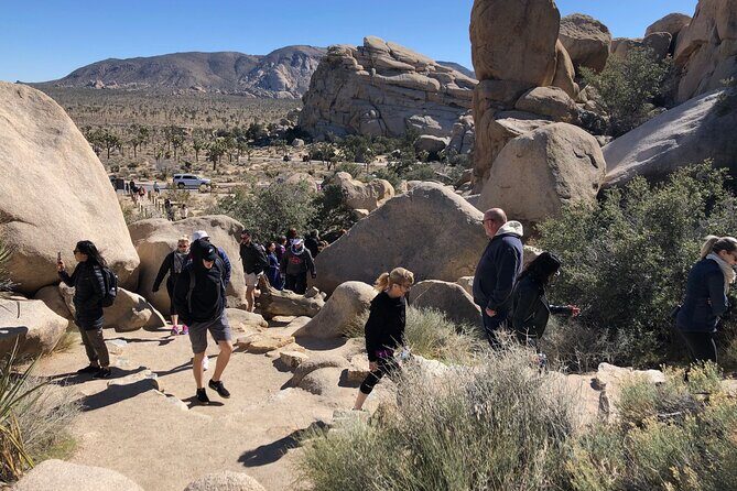 Joshua Tree National Park Driving Tour - The Experience in Detail