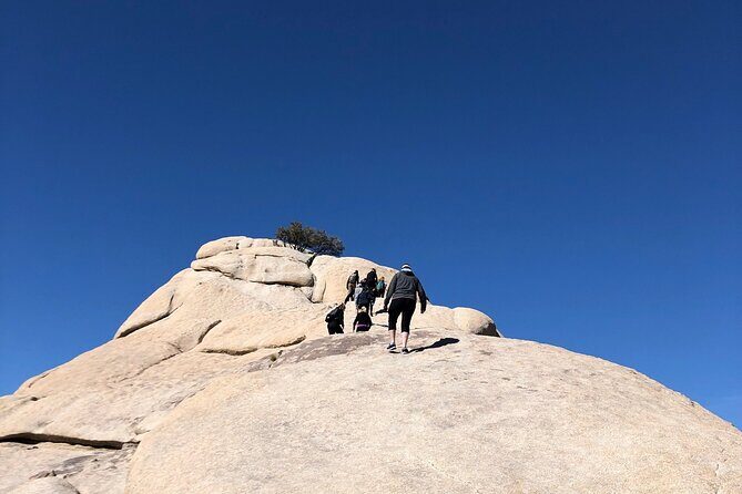 Joshua Tree National Park Driving Tour - What Sets This Tour Apart