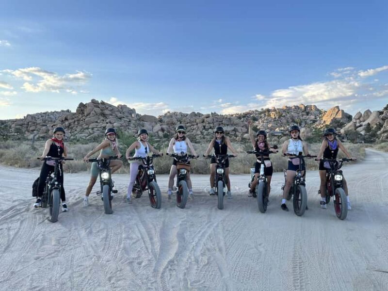 Joshua Tree National Park: E-Bike Rental - In-Depth Look at the Experience