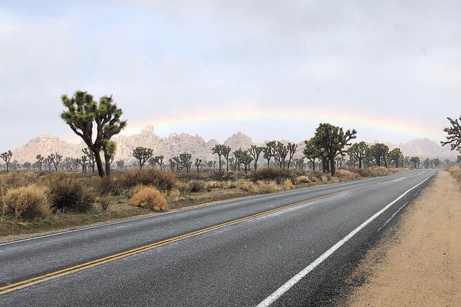 Joshua Tree National Park Scenic Tour - Why This Tour Offers Good Value