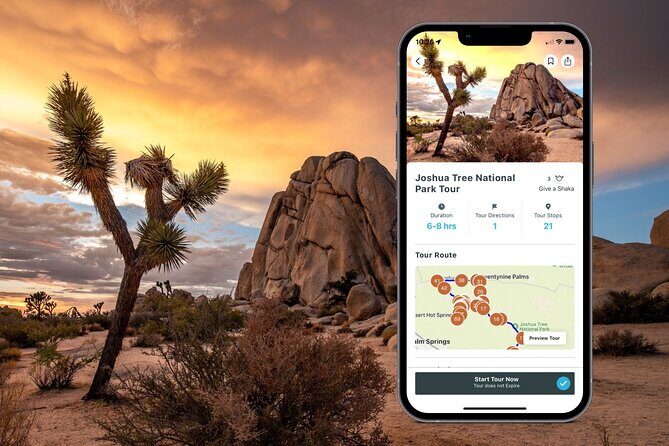 Joshua Tree National Park Self-Guided Audio Tour - How Does It Compare to Other Options?