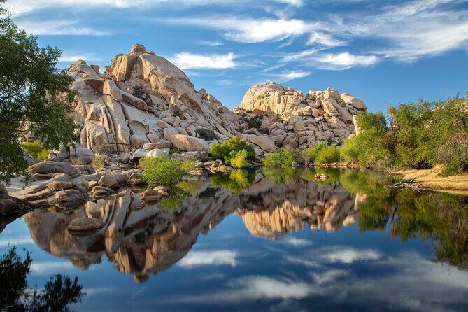 Joshua Tree National Park Self-Guided Audio Tour - Who Should Consider This Tour?