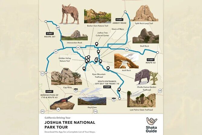 Joshua Tree National Park Self-Guided Audio Tour - Final Thoughts
