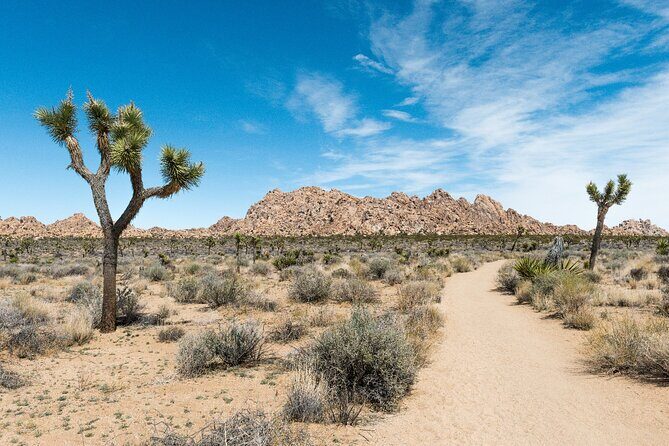 Joshua Tree National Park Self-Guided Driving Audio Tour - Frequently Asked Questions (FAQs)