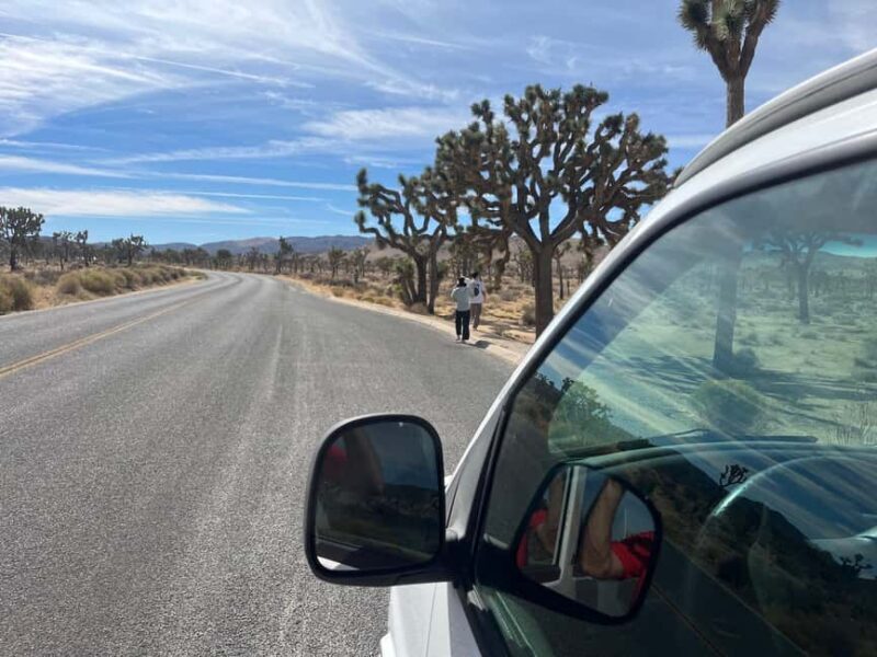 Joshua Tree National Park Tours | Private Tour (Max 10) - The transportation experience
