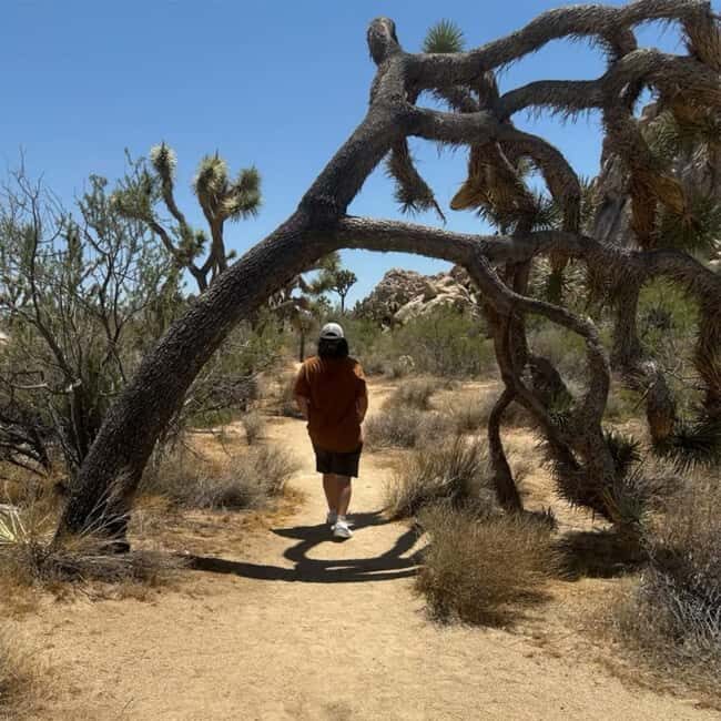 Joshua Tree National Park Tours | Private Tour (Max 10) - Guided expertise and storytelling