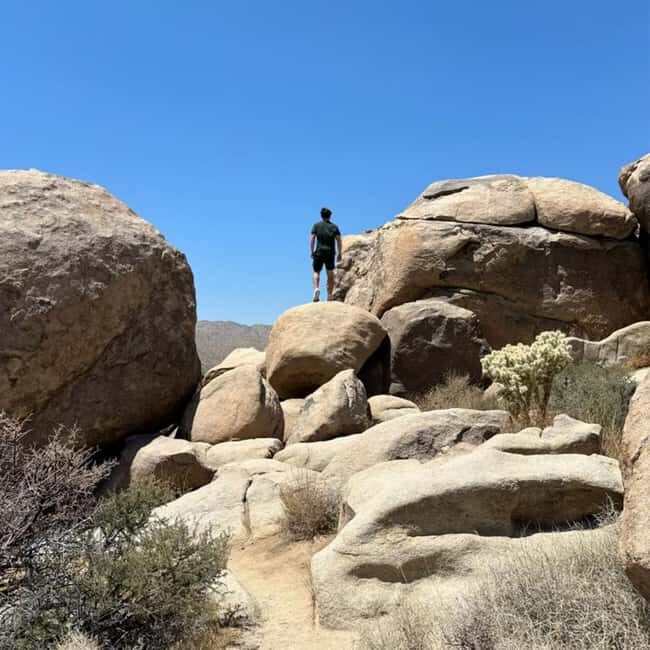 Joshua Tree National Park Tours | Private Tour (Max 10) - Final thoughts
