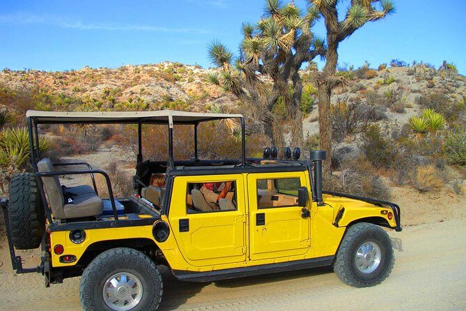 Joshua Tree Open Air Hummer Adventure - A Detailed Look at the Joshua Tree Open Air Hummer Adventure