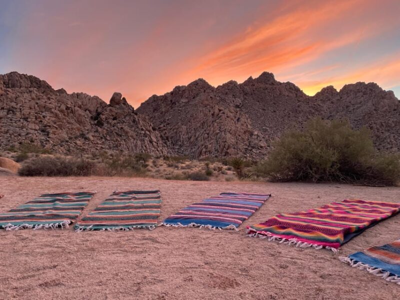 Joshua Tree: Soundbath Under The Stars - Setting the Scene: Joshua Tree’s Dark Skies