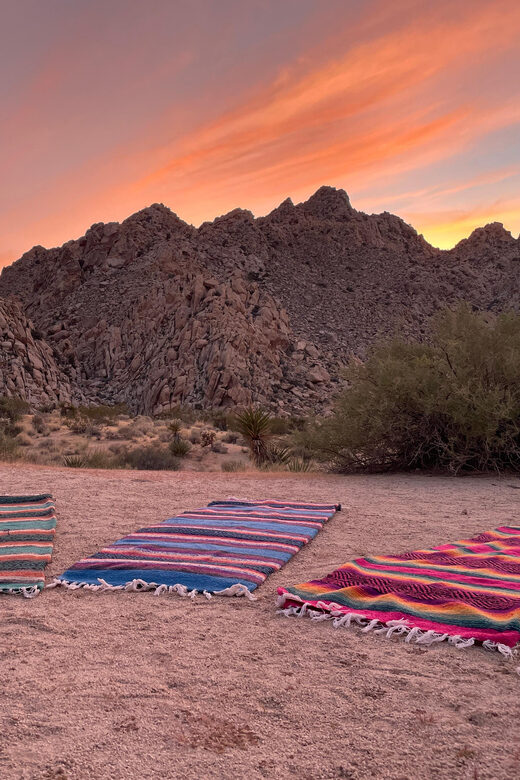 Joshua Tree: Soundbath Under The Stars - Value and Pricing