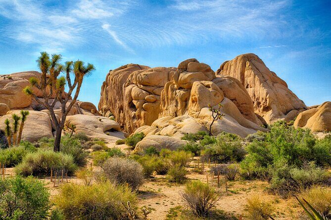 Joshua Tree's Hidden Valley Self-Guided Walking Tour - Introduction