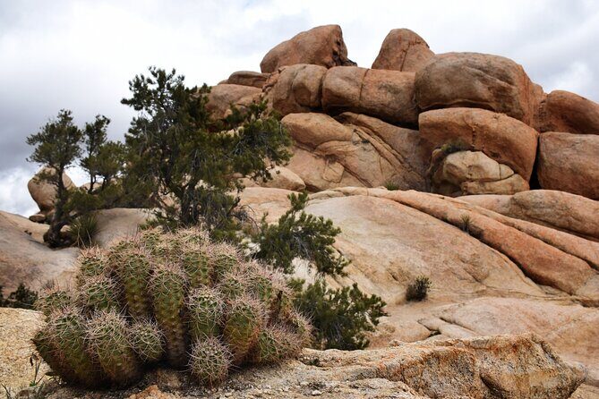 Joshua Tree's Hidden Valley Self-Guided Walking Tour - The Practicalities: What You Should Know