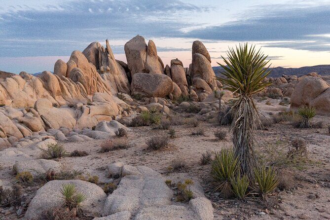 Joshua Tree's Hidden Valley Self-Guided Walking Tour - FAQs