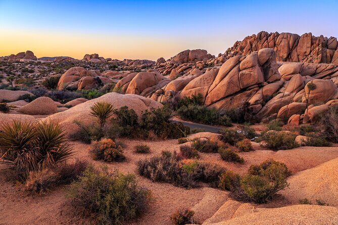 Joshua Tree's Hidden Valley Self-Guided Walking Tour - The Sum Up