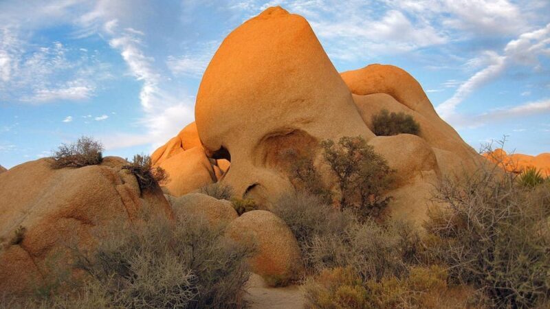 Journey into Joshua Tree: Audio Driving Tour and Local Guide - Practical Tips for Travelers
