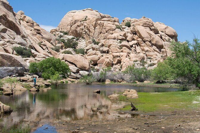 Journey into Joshua Tree Audio Tour and Locals Guide - Who Will Love This Tour?