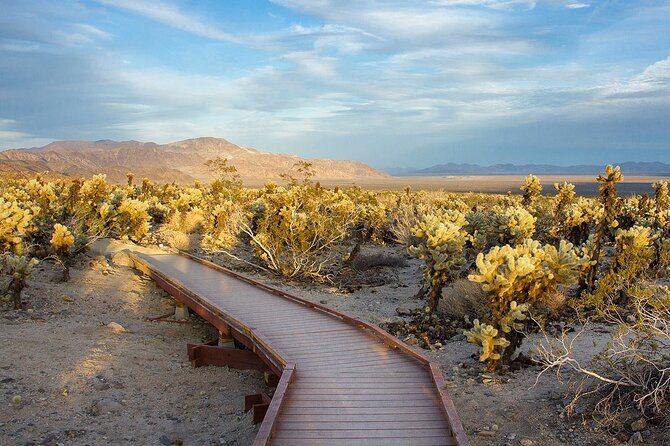Journey into Joshua Tree Audio Tour and Locals Guide - Practical Tips for Making the Most of This Tour
