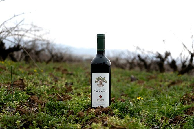 Journey Through Lebanese Wine: A Private Tour in the Beqaa Valley - The Experience in Detail