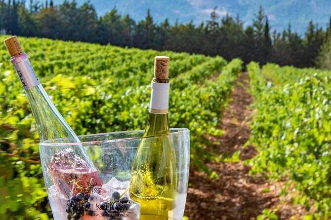 Journey Through Lebanese Wine: A Private Tour in the Beqaa Valley - Who Will Enjoy This Tour?