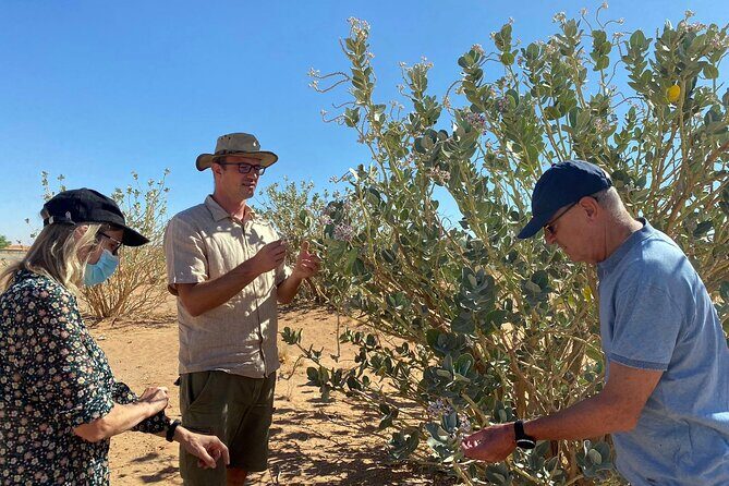 Journey to the Heart of the Emirates - Nazwa: Desert and Fossils