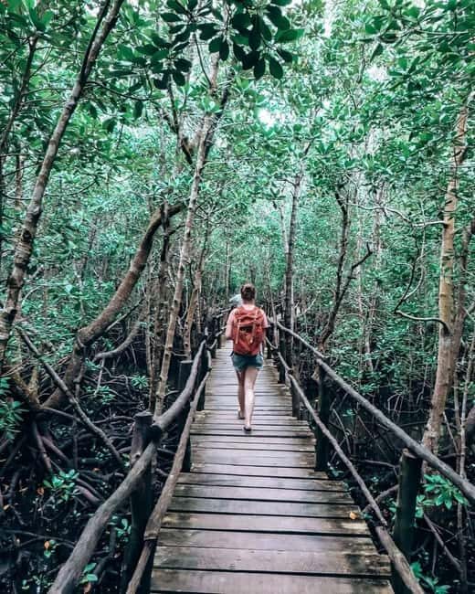 JOZAN FOREST , BLUE LAGOON , ROCK RESTAURANT AND KUZA CAVE . - Key Points